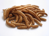 Denhart & Perry - Premium Calciworms