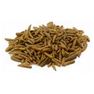 Bird Feed-