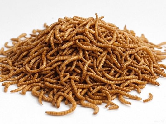 Denhart & Perry - Premium Mealworms