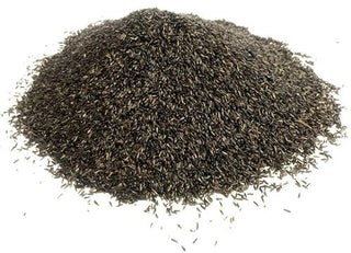 Bird Feed-