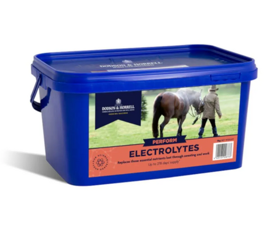 Dodson & Horrell Electrolytes Horse Supplement 2kg