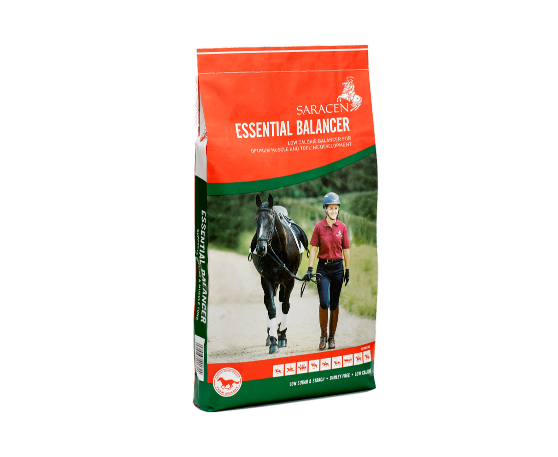 Saracen Essential Balancer - 20kg