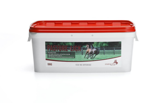 Saracen Pasture-Lick for Horses 10kg