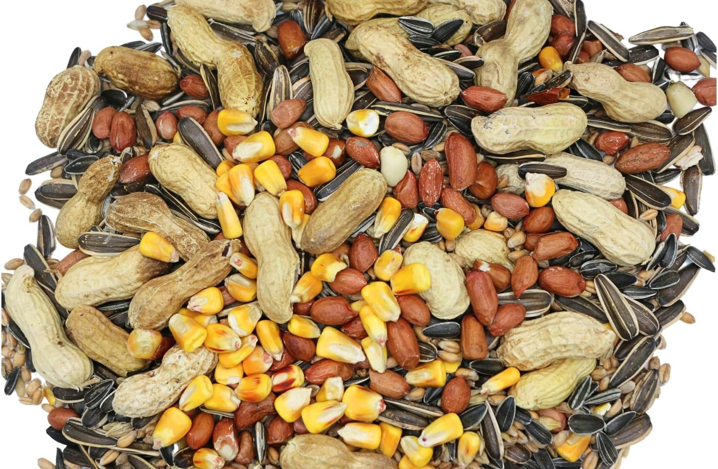 Denhart & Perry- Squirrel & Chipmunk Mix