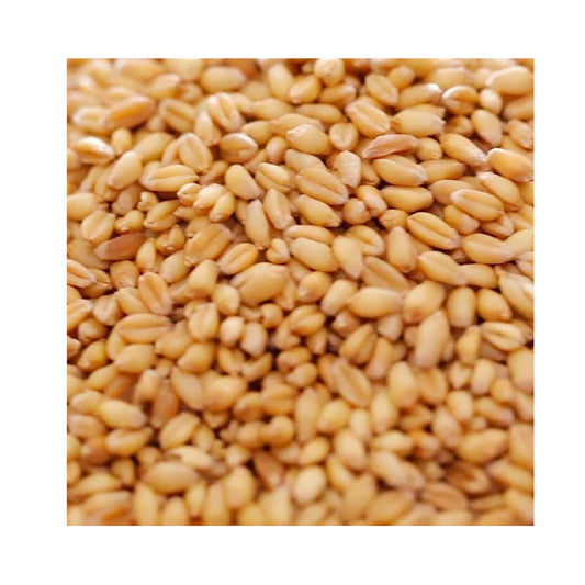 Copdock Mill Whole Wheat Chicken Feed 20kg