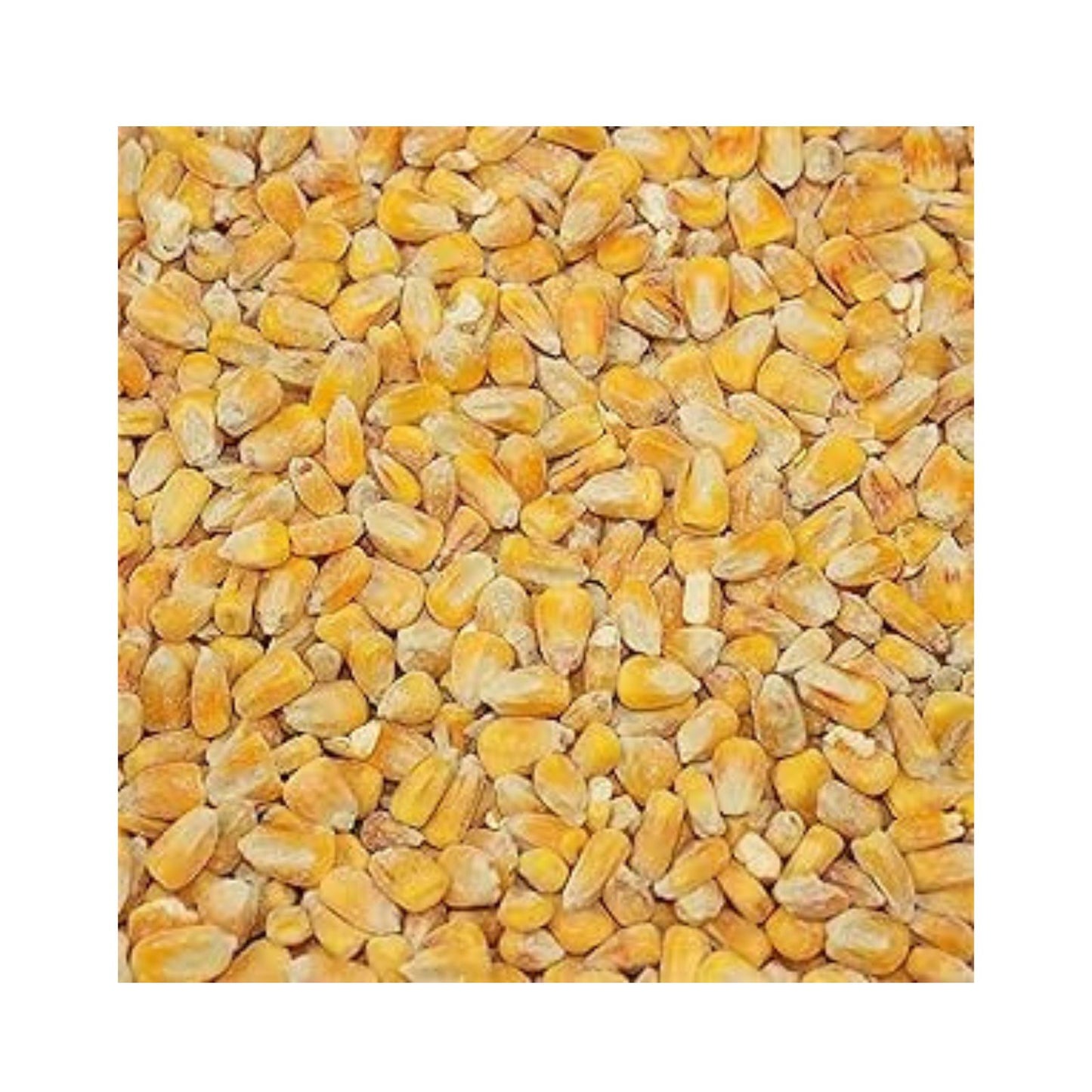 Copdock Mill Whole Maize Chicken Feed 20kg