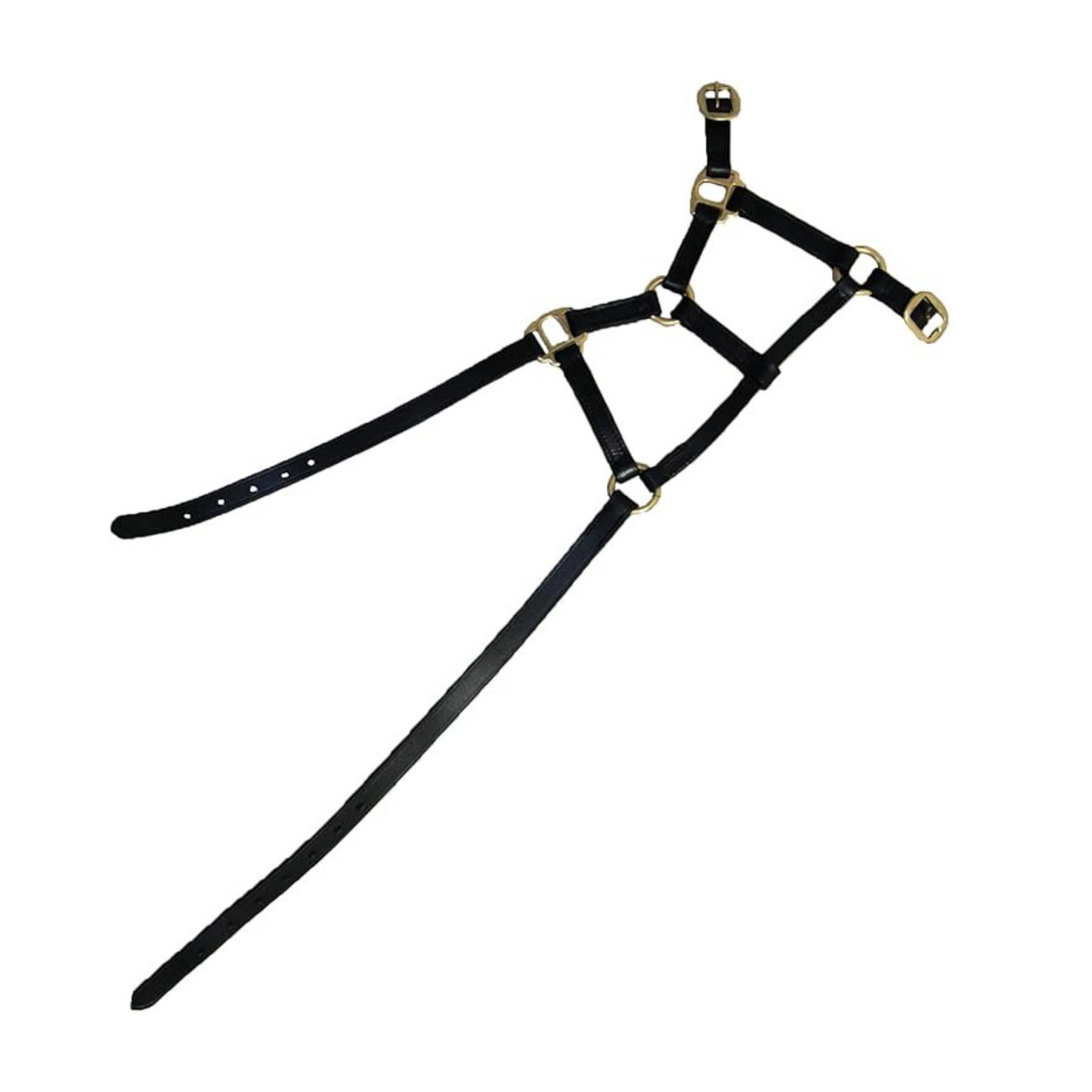 Hy Leather Foal Head Collar (Black, X-Large)