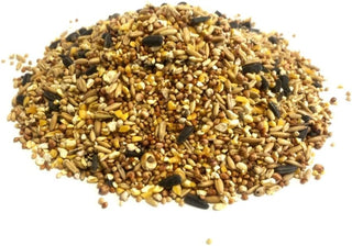 Bird Feed-