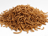 Denhart & Perry - Premium Mealworms - 2kg