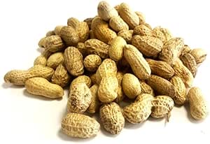 Bird Feed-