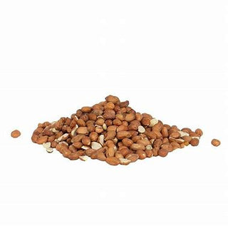 Bird Feed-