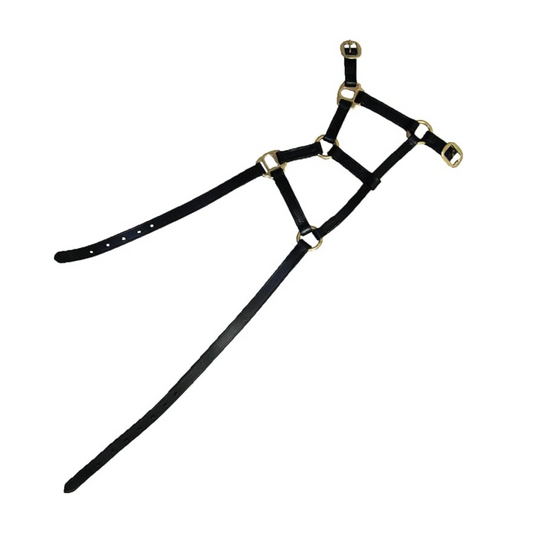 Hy Leather Foal Head Collar (Black, X-Large)
