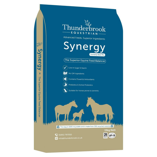 Thunderbrook Synergy Equestrian Base Mix 15kg