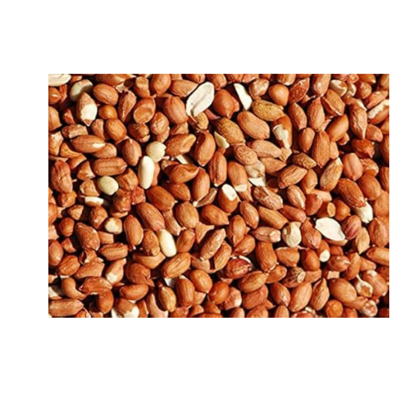 Bird Whole Peanuts 10kg