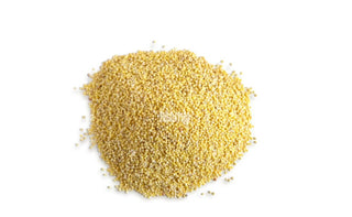 Bird Feed-